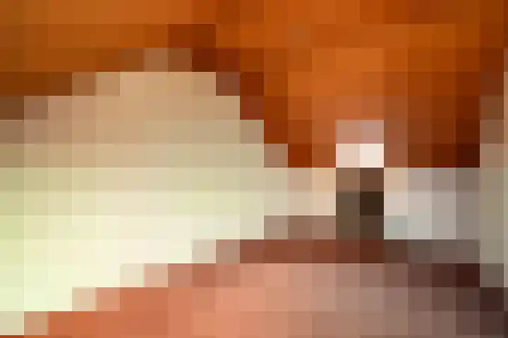 Heischeutstraat 96 Oss thumbnail 19