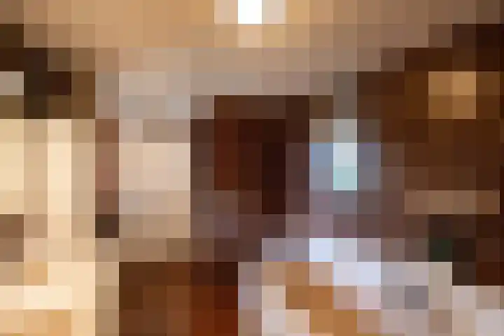 Heischeutstraat 96 Oss thumbnail 20