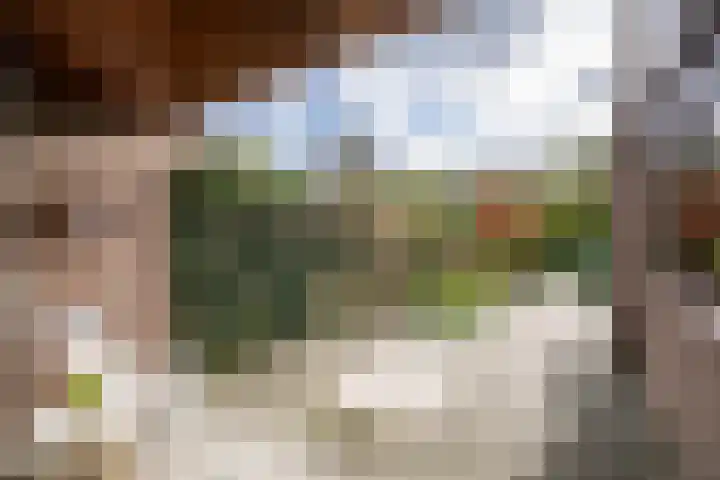 Heischeutstraat 96 Oss thumbnail 23