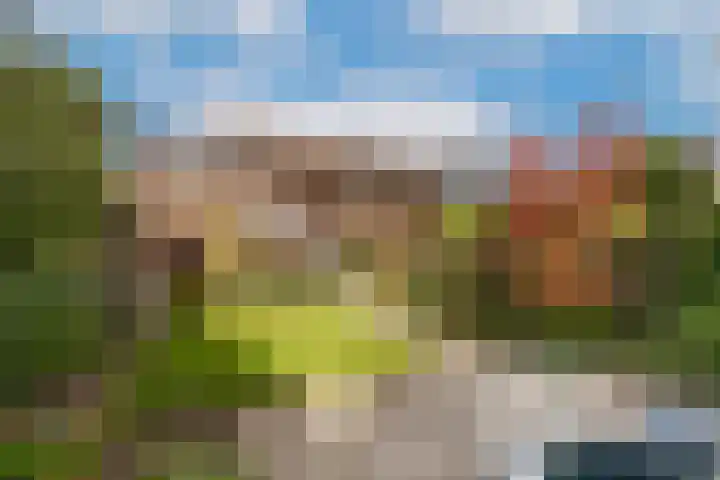 Heischeutstraat 96 Oss thumbnail 4