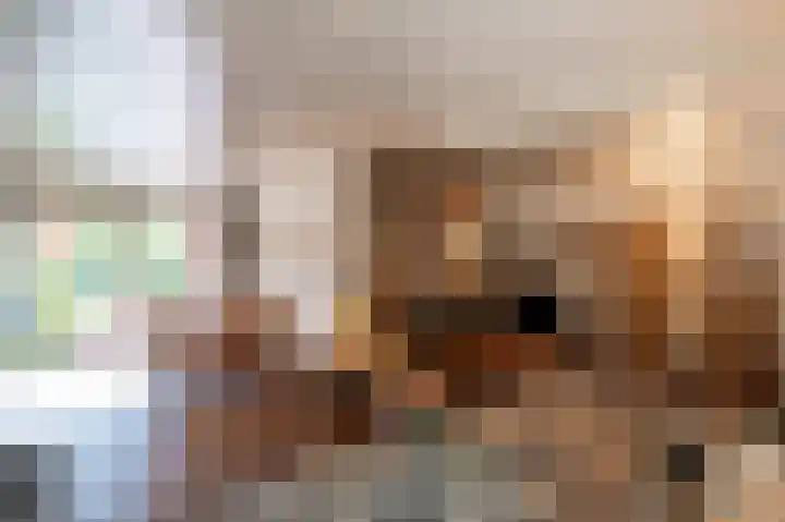 Heischeutstraat 96 Oss thumbnail 9
