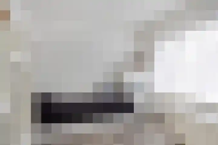 Heischouw 16 Oss thumbnail 13