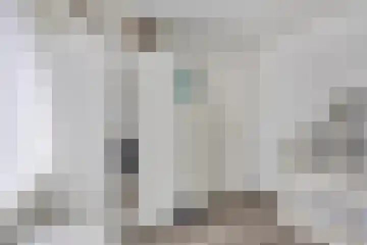 Heischouw 16 Oss thumbnail 15