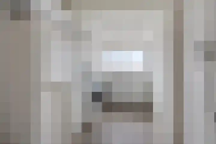 Heischouw 16 Oss thumbnail 17
