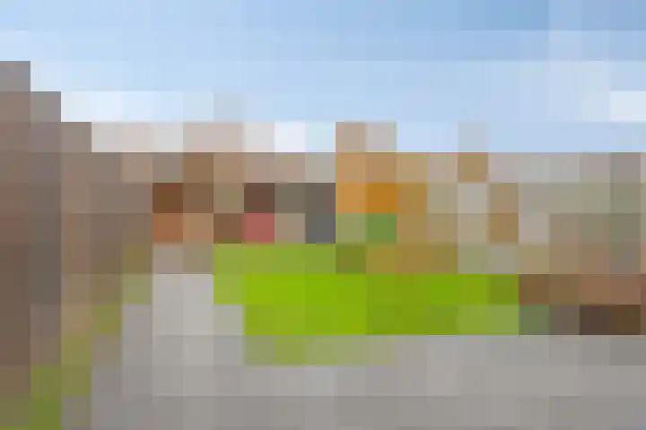 Heischouw 16 Oss thumbnail 19