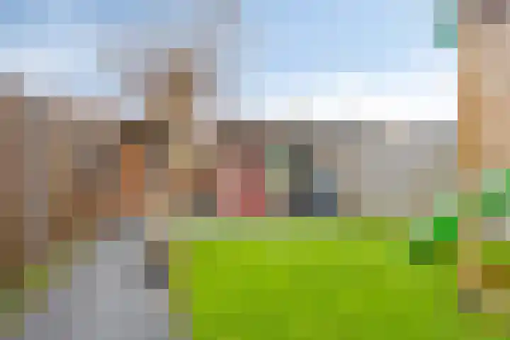 Heischouw 16 Oss thumbnail 20