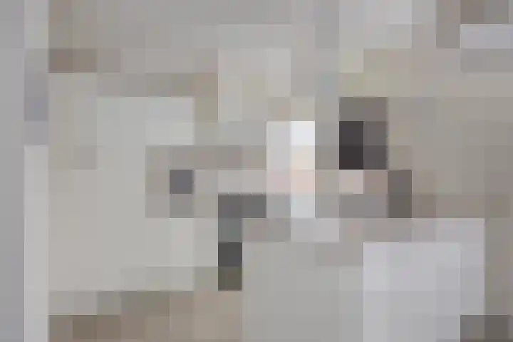 Heischouw 16 Oss thumbnail 5