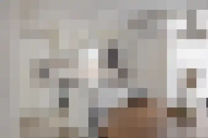 Heischouw 16 Oss thumbnail 6