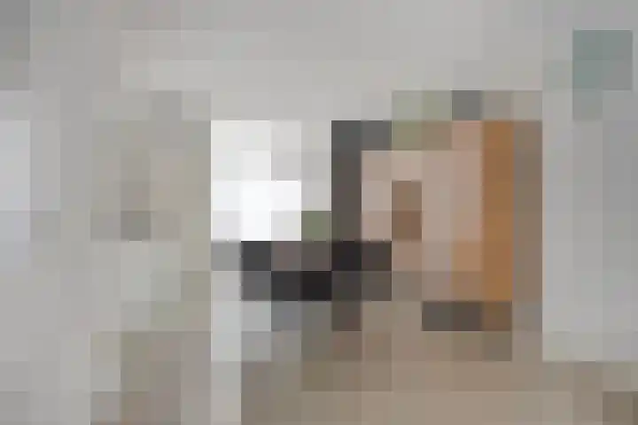 Heischouw 16 Oss thumbnail 8