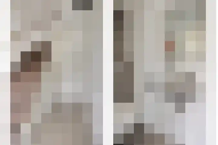 Heischouw 16 Oss thumbnail 9