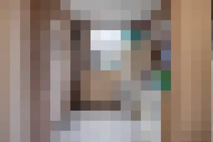 Heischouw 20 Oss thumbnail 10