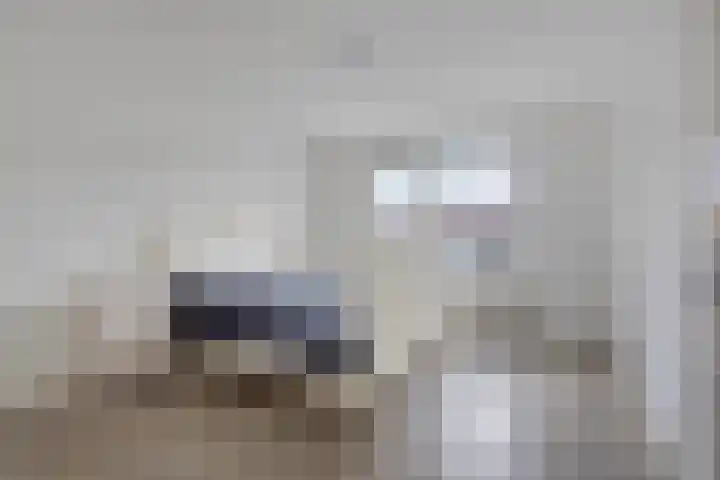 Heischouw 20 Oss thumbnail 12