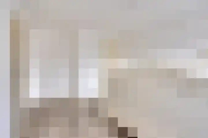 Heischouw 20 Oss thumbnail 13