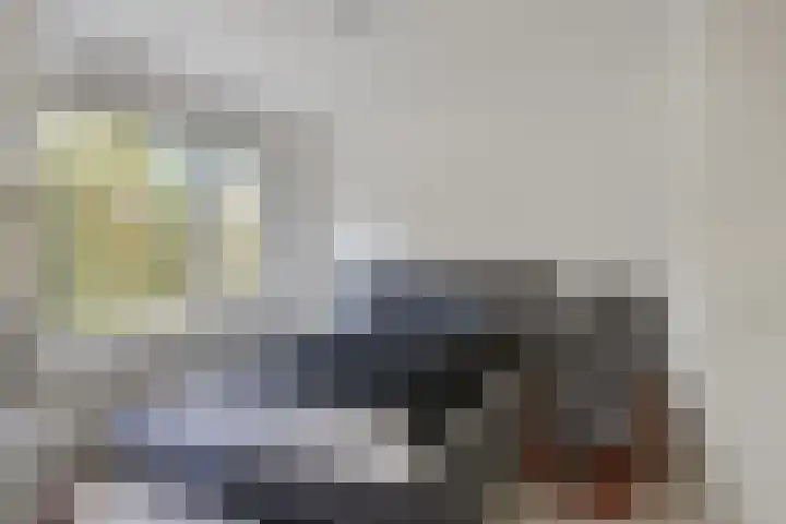 Heischouw 20 Oss thumbnail 15
