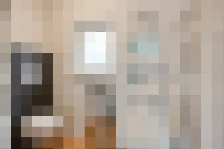 Heischouw 20 Oss thumbnail 16