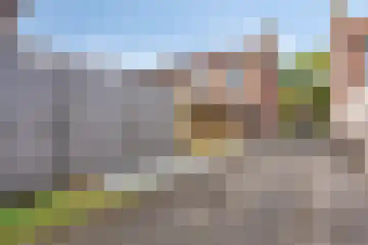 Heischouw 20 Oss thumbnail 25