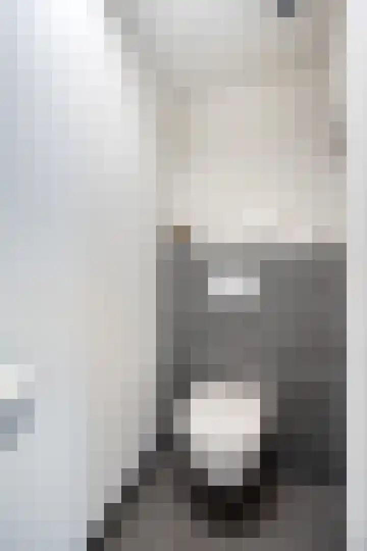 Heischouw 20 Oss thumbnail 4