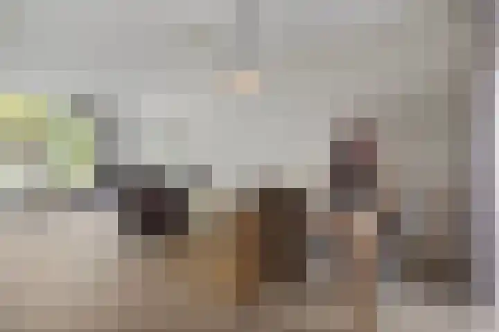 Heischouw 20 Oss thumbnail 5