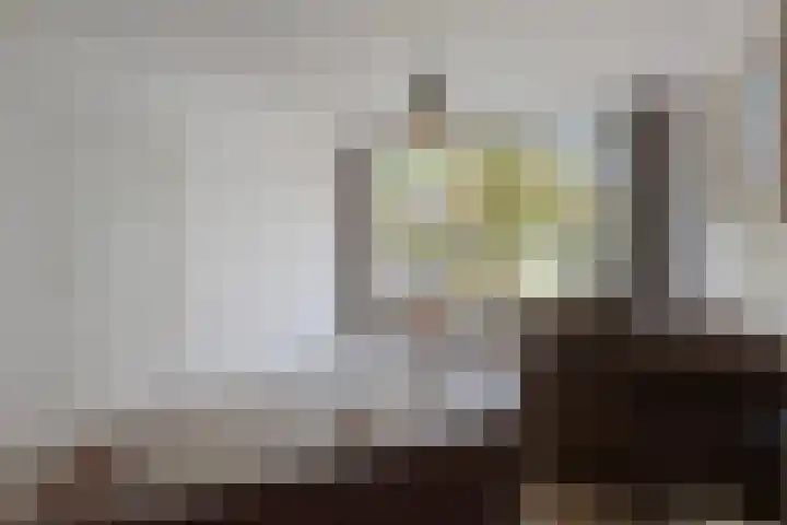 Heischouw 20 Oss thumbnail 6
