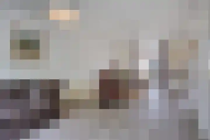 Heischouw 20 Oss thumbnail 7