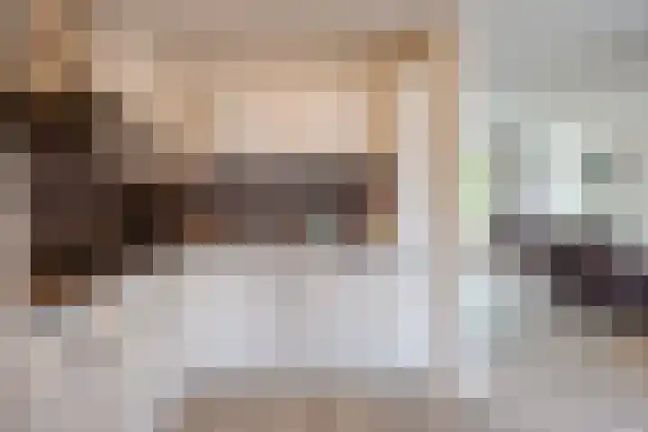 Heischouw 20 Oss thumbnail 9