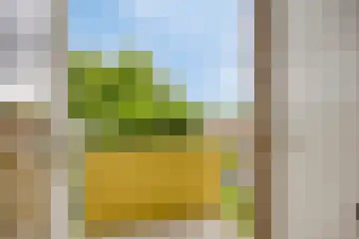 Heischouw 54 Oss thumbnail 11