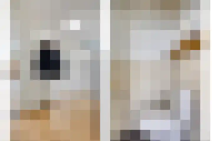Heischouw 54 Oss thumbnail 12