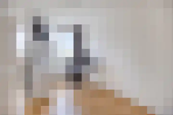 Heischouw 54 Oss thumbnail 14