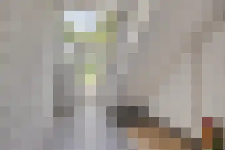 Heischouw 54 Oss thumbnail 17