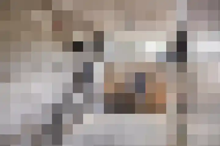 Heischouw 54 Oss thumbnail 18