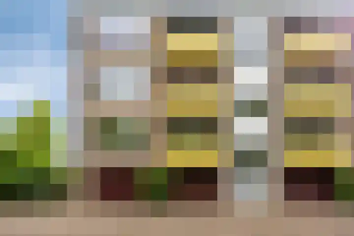 Heischouw 54 Oss thumbnail 19