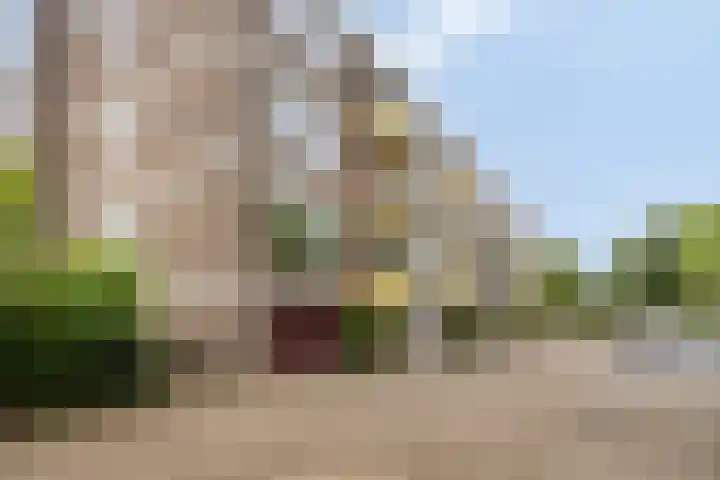 Heischouw 54 Oss thumbnail 20