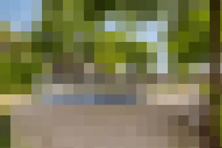 Heischouw 54 Oss thumbnail 21