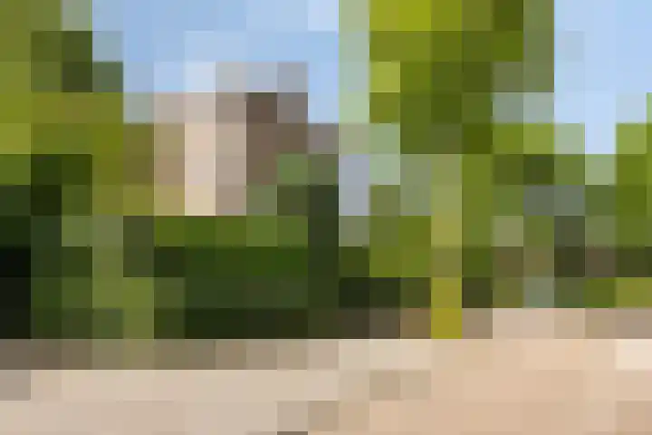 Heischouw 54 Oss thumbnail 22