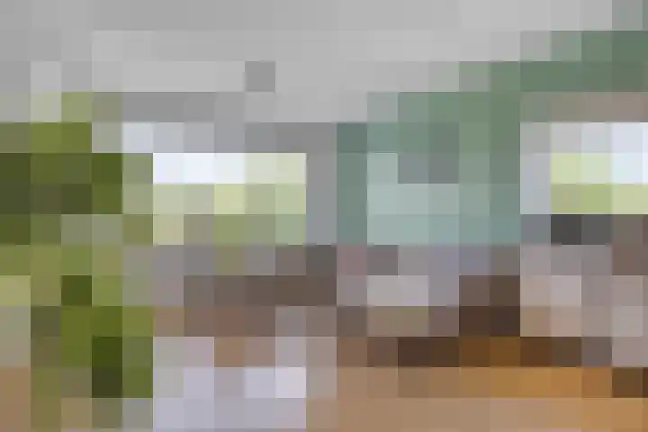 Heischouw 54 Oss thumbnail 4