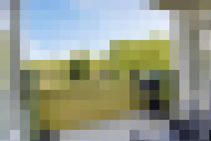 Heischouw 54 Oss thumbnail 5