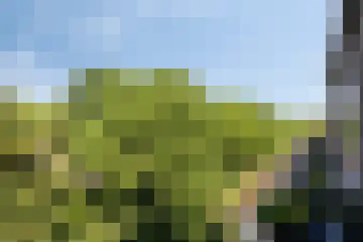 Heischouw 54 Oss thumbnail 6