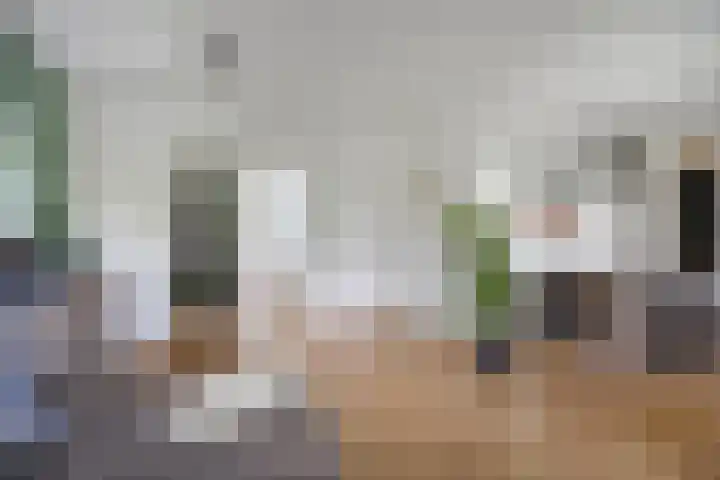 Heischouw 54 Oss thumbnail 7