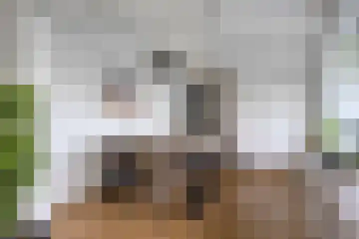 Heischouw 54 Oss thumbnail 8