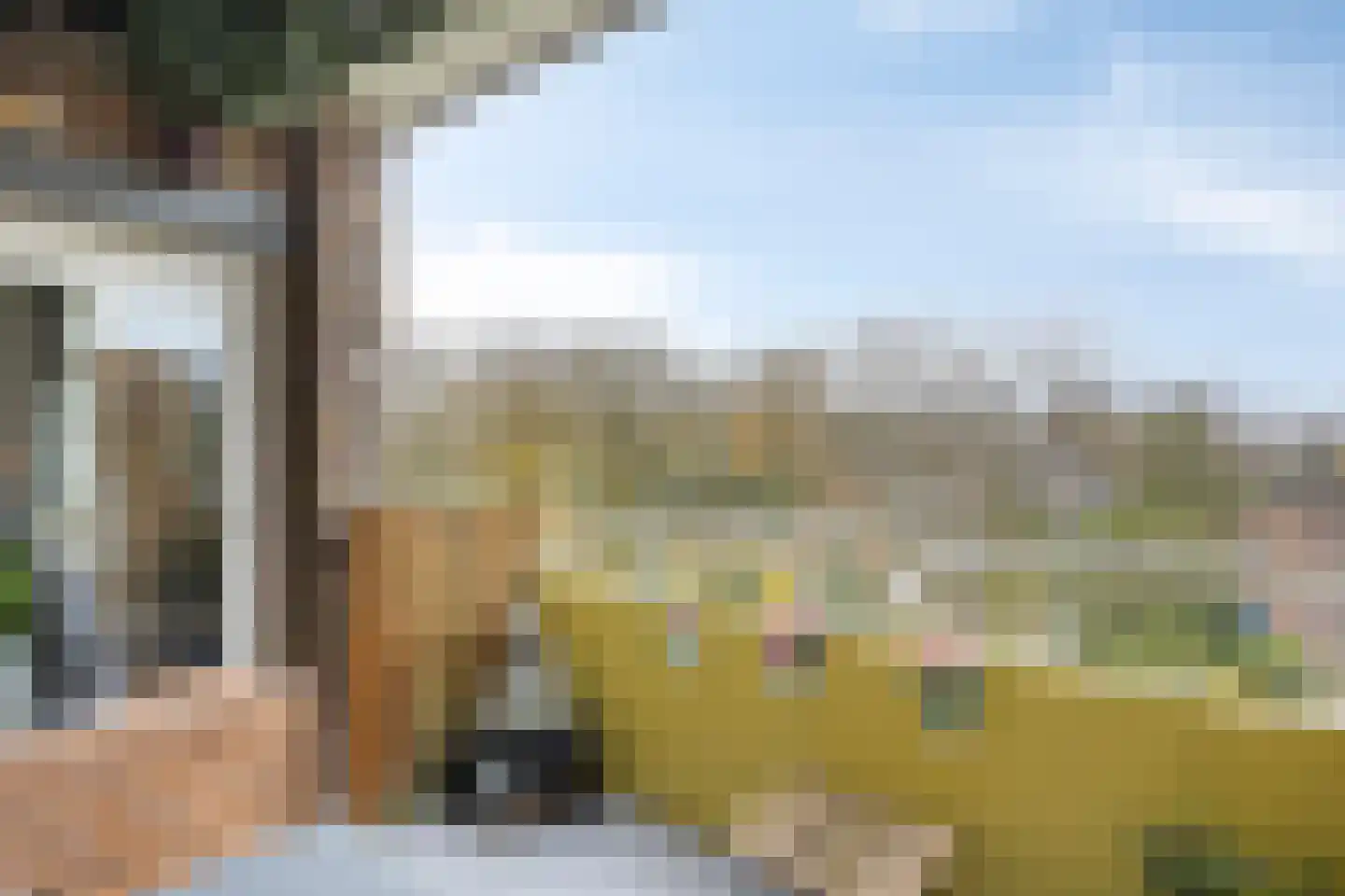 Heischouw 56 Oss thumbnail 10