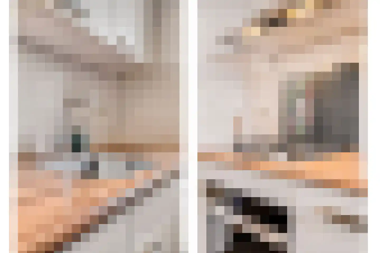 Heischouw 56 Oss thumbnail 13