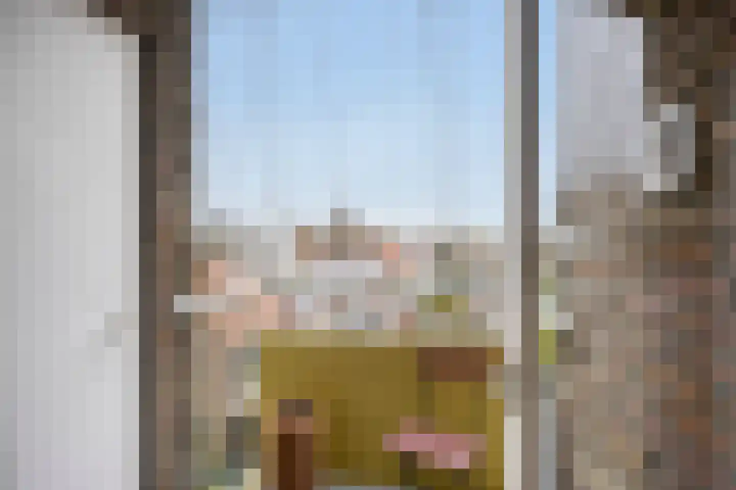 Heischouw 56 Oss thumbnail 15