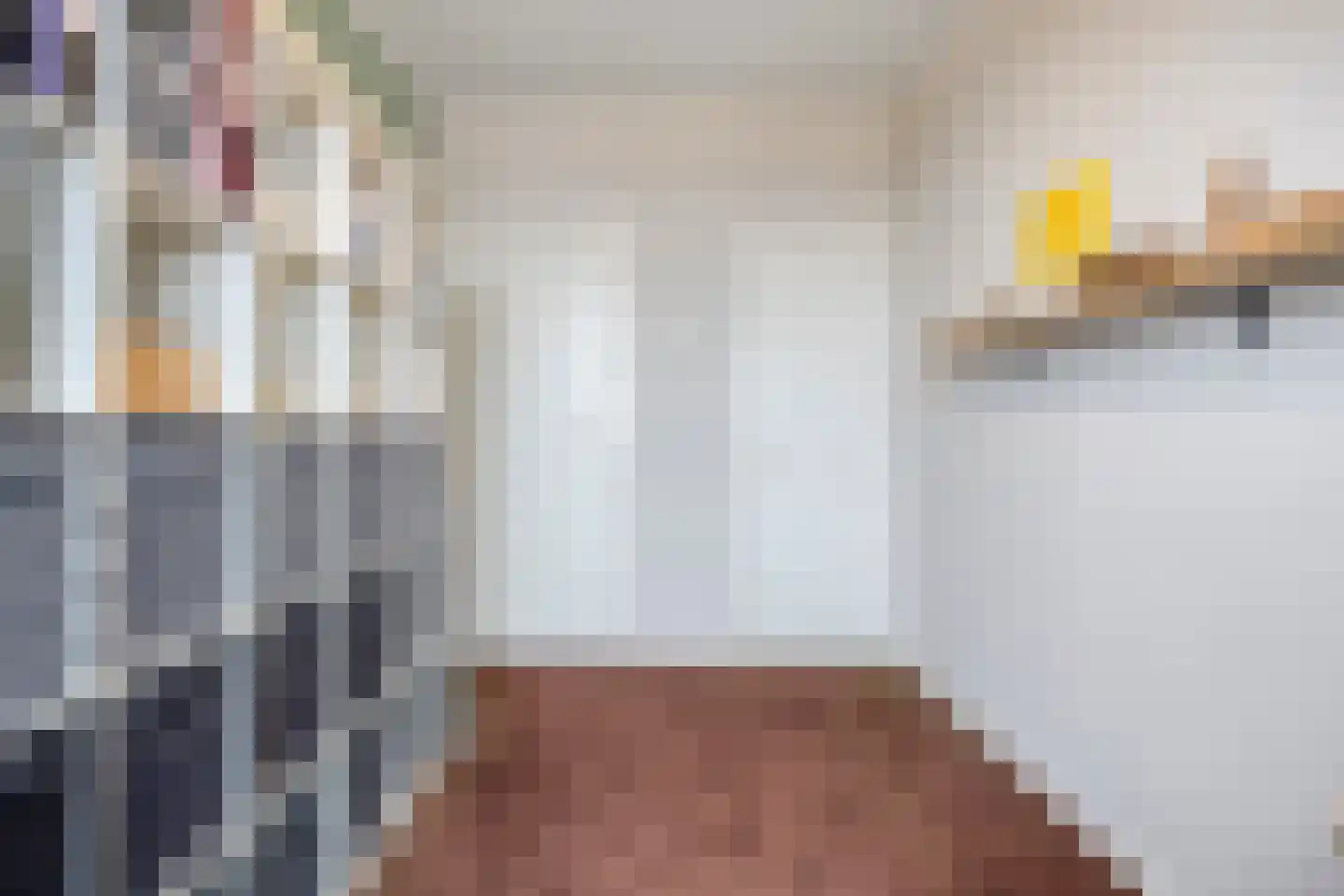 Heischouw 56 Oss thumbnail 19