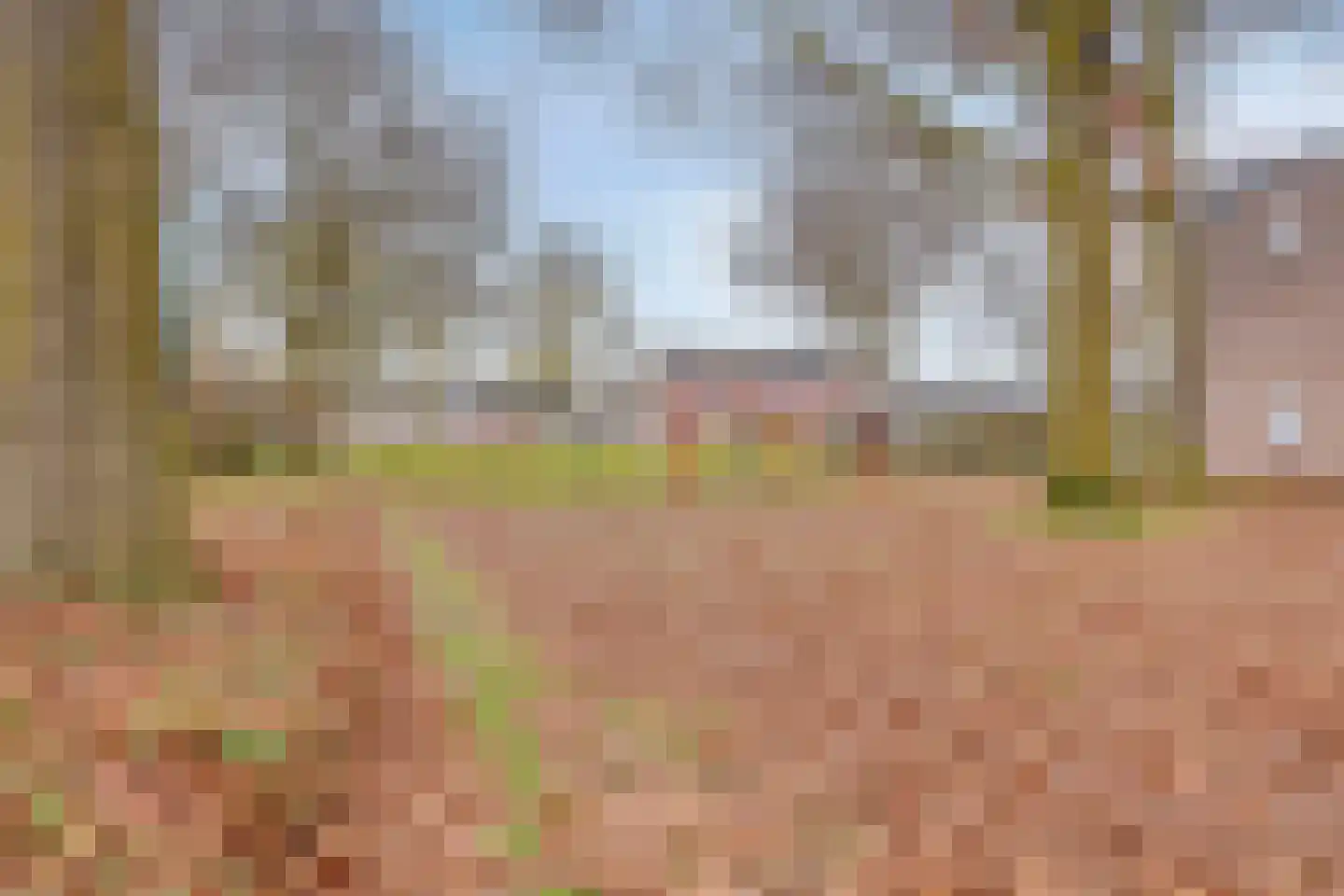 Heischouw 56 Oss thumbnail 24
