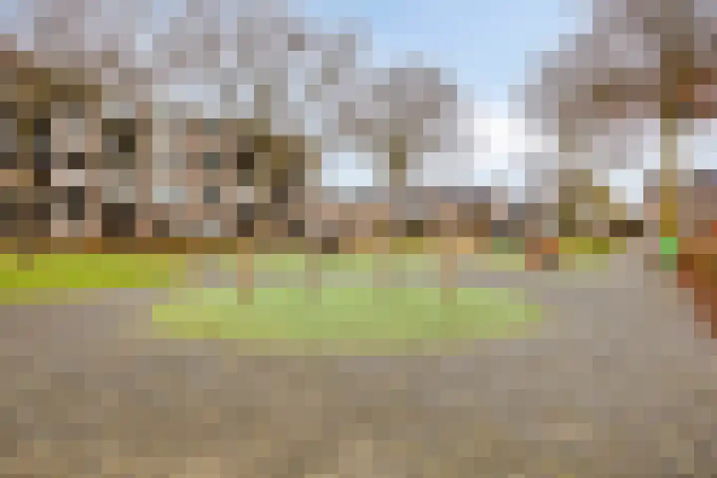 Heischouw 56 Oss thumbnail 25