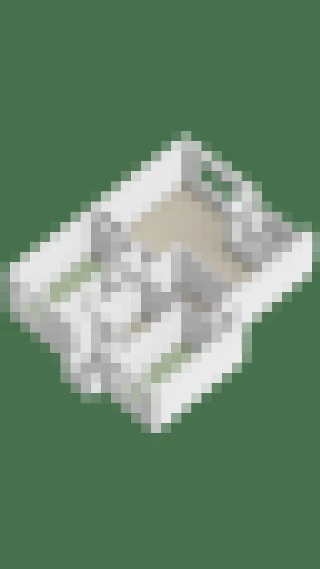 Heischouw 56 Oss thumbnail 27