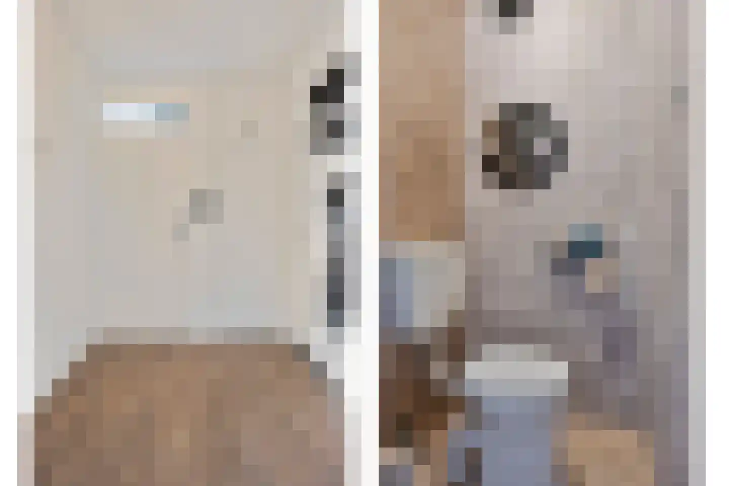 Heischouw 56 Oss thumbnail 5