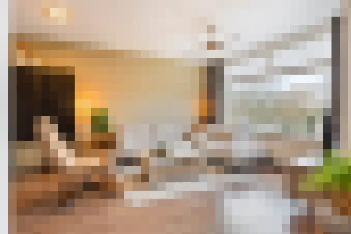 Heischouw 56 Oss thumbnail 6