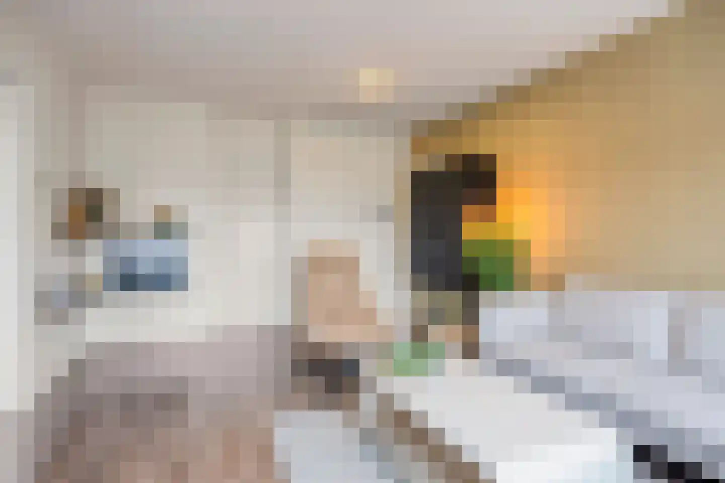 Heischouw 56 Oss thumbnail 9
