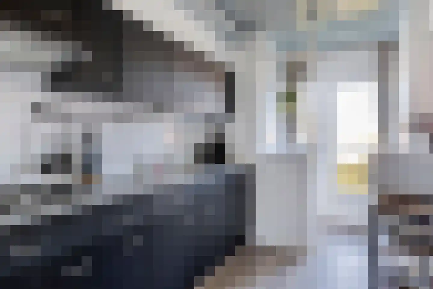 Heischouw 58 Oss thumbnail 11